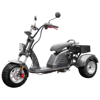 Электроскутер Ikingi M6 PRO Trike Карбон