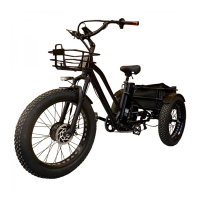 Трехколесный электровелосипед GT V17 48v\12Ah